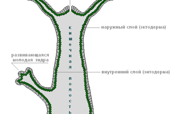 Знают ли власти про маркетплейс кракен