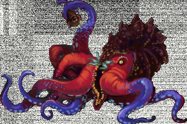 Kraken dark market