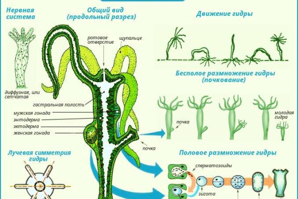 Kraken в россии